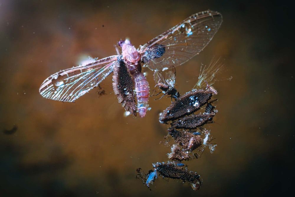 Photograph by Сергей Назаредский