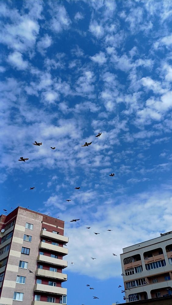 Photograph by Елена Воронова
