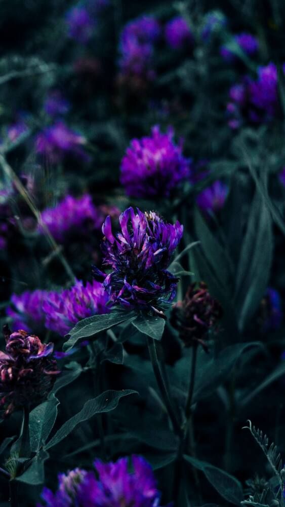 Photograph by Никита Савраскин