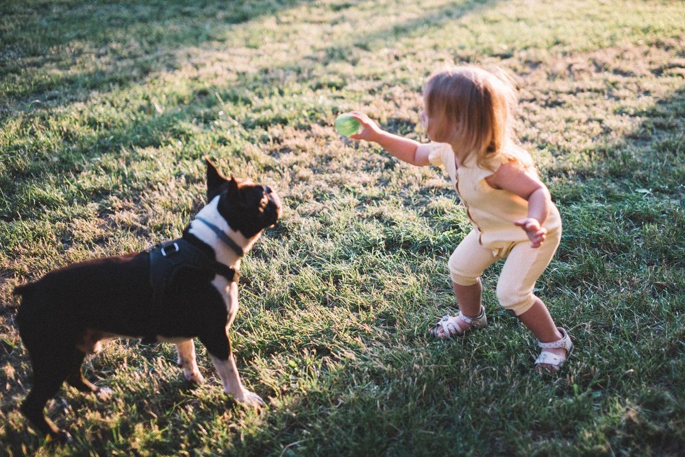 Photo #13758503