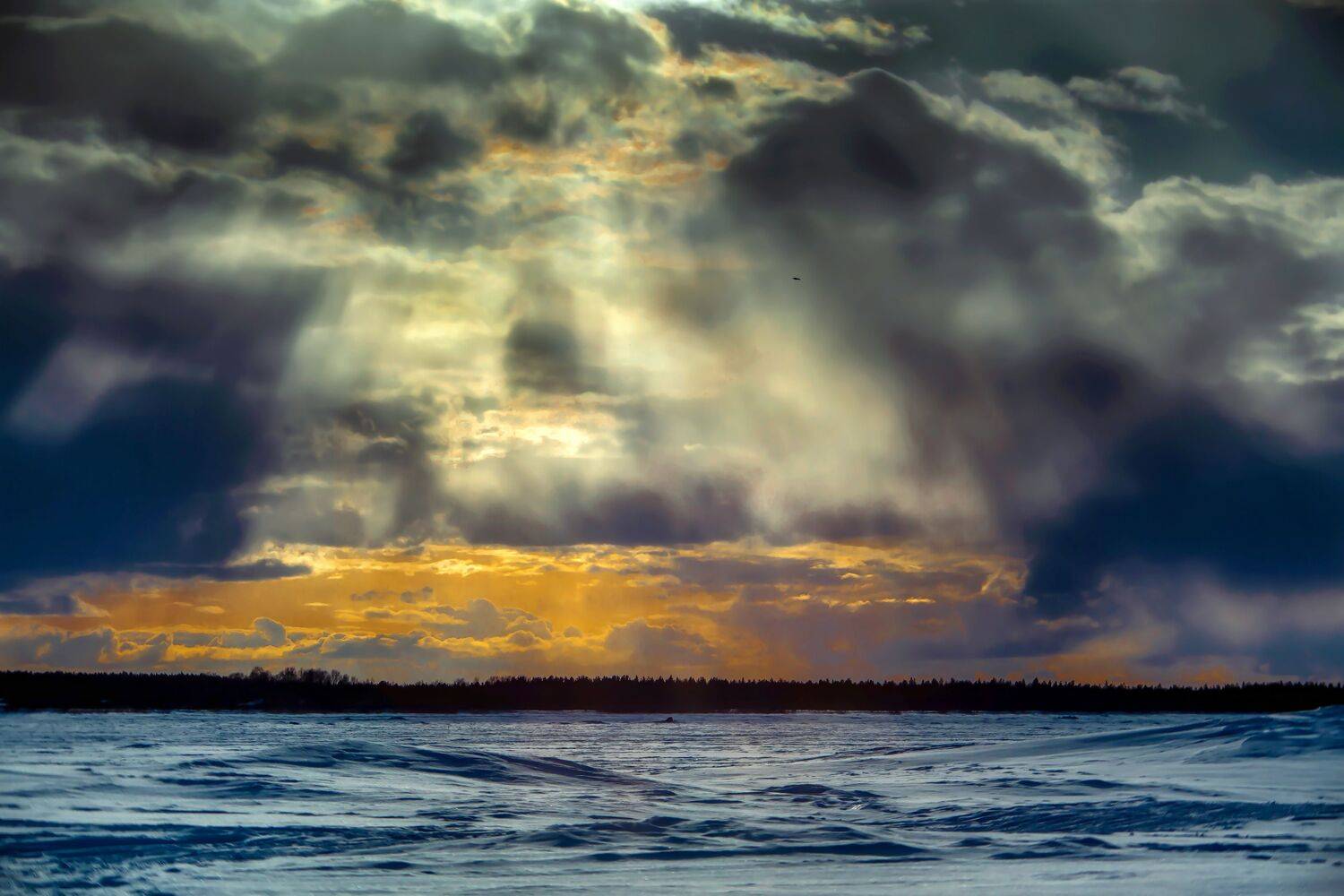 Photo #13758547