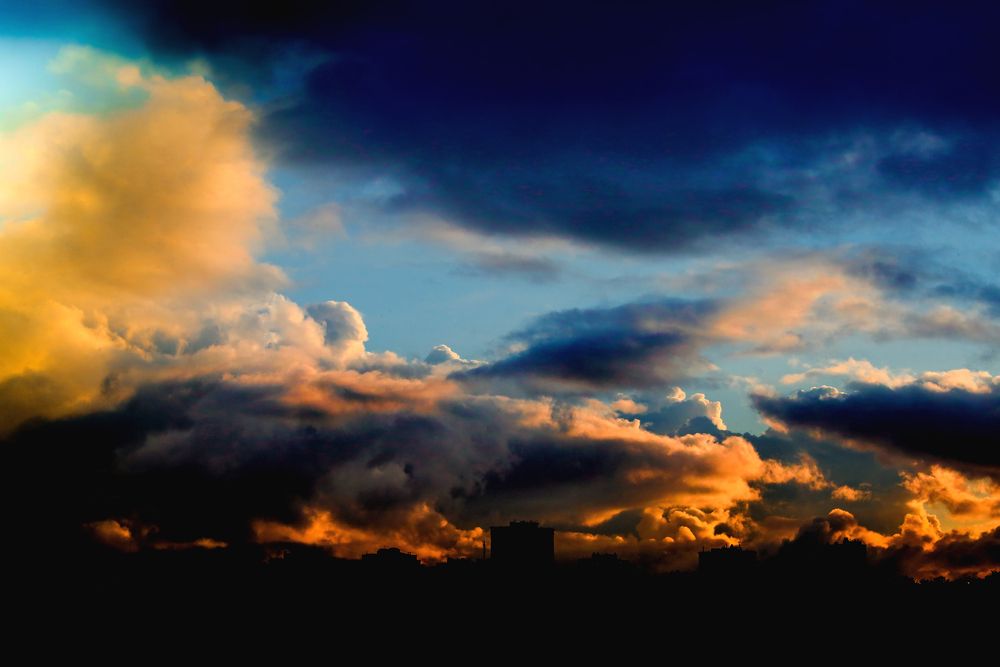 Photo #13758551