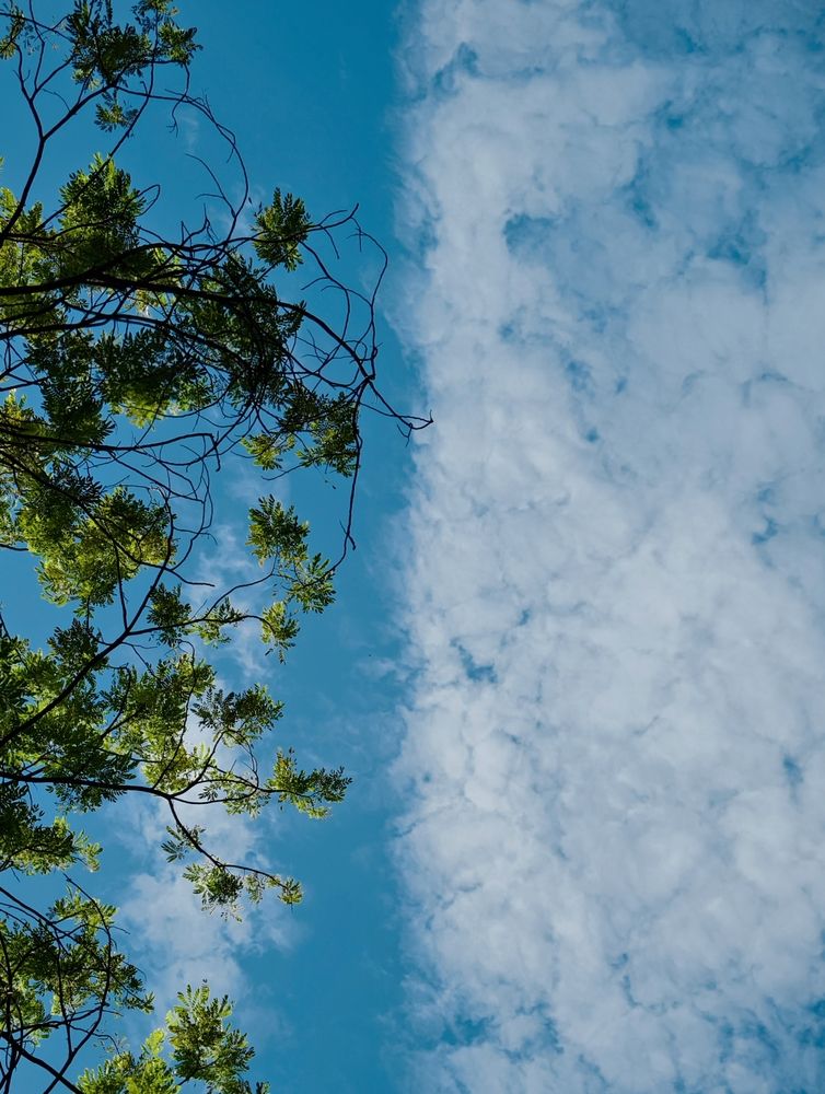 Photograph by Thịnh Nguyễn
