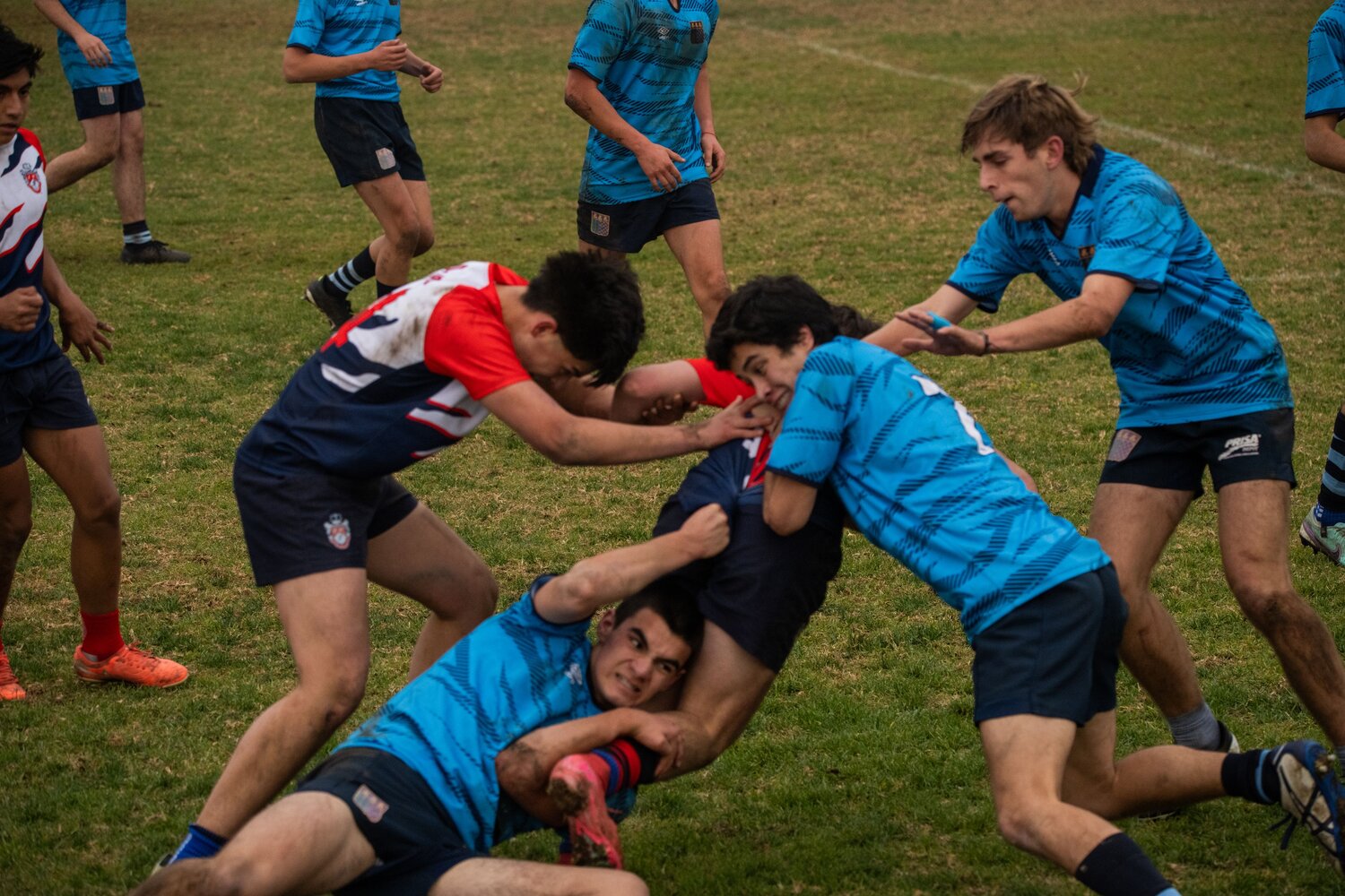 Photo #13758652