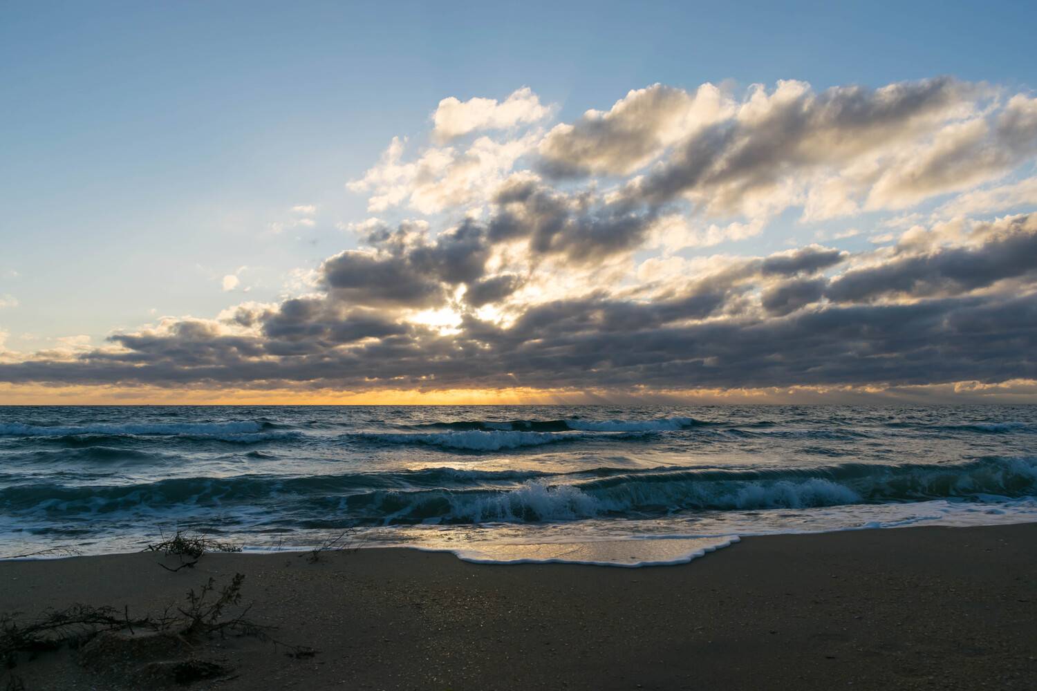 Photo #13758664