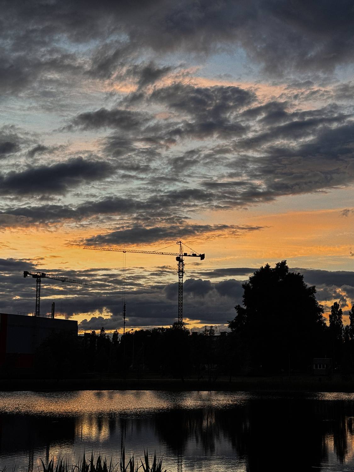 Photo #13758825