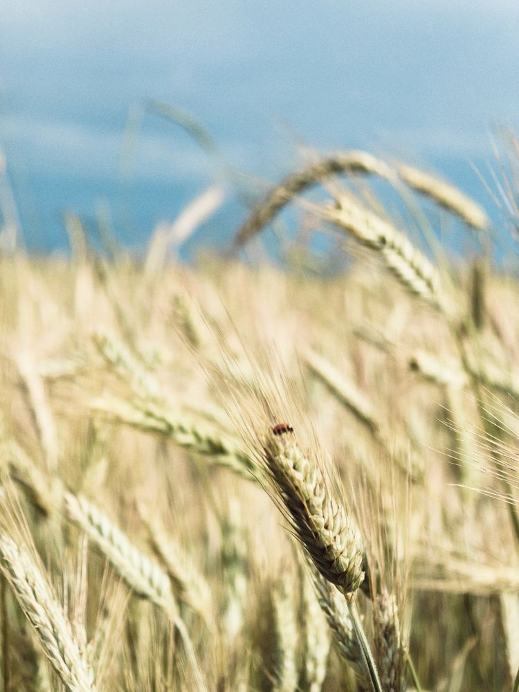 Photograph by Наталья Жуковская