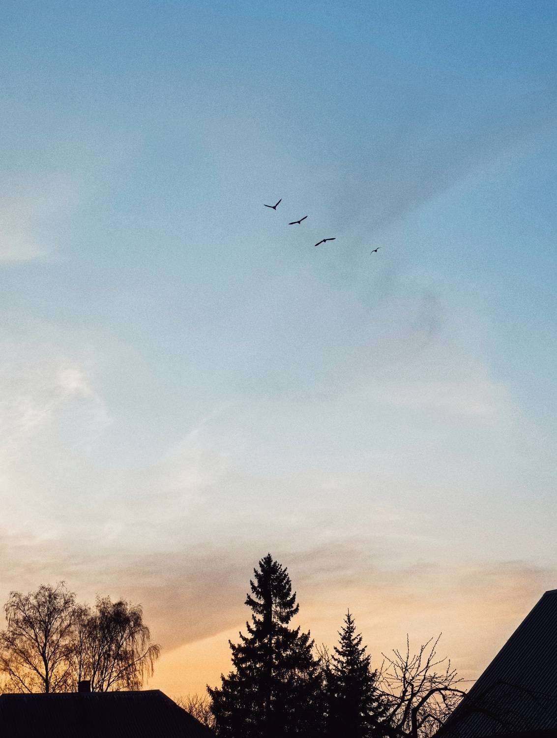 Photo #13758873