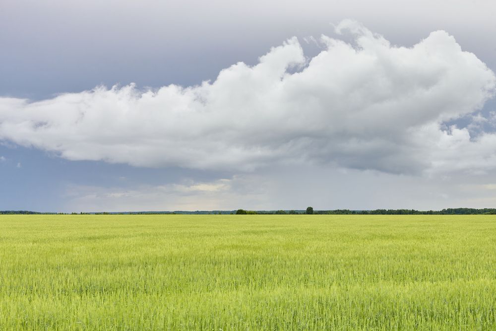 Photograph by Александр Еремин