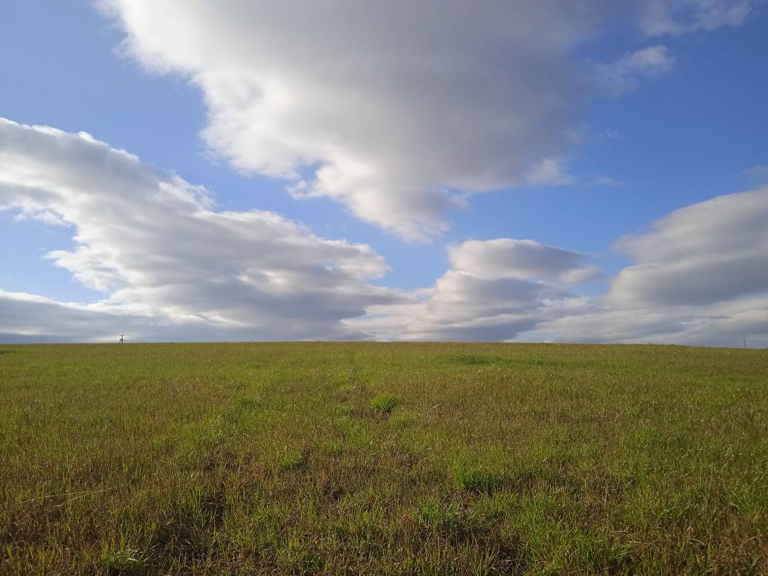 Photo #13759045