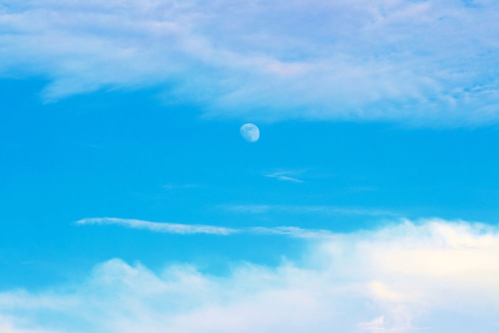 Photograph by Fariba Saberi