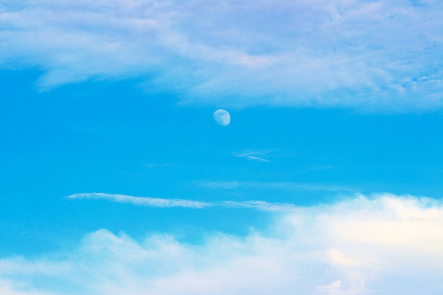 Photo #13759069