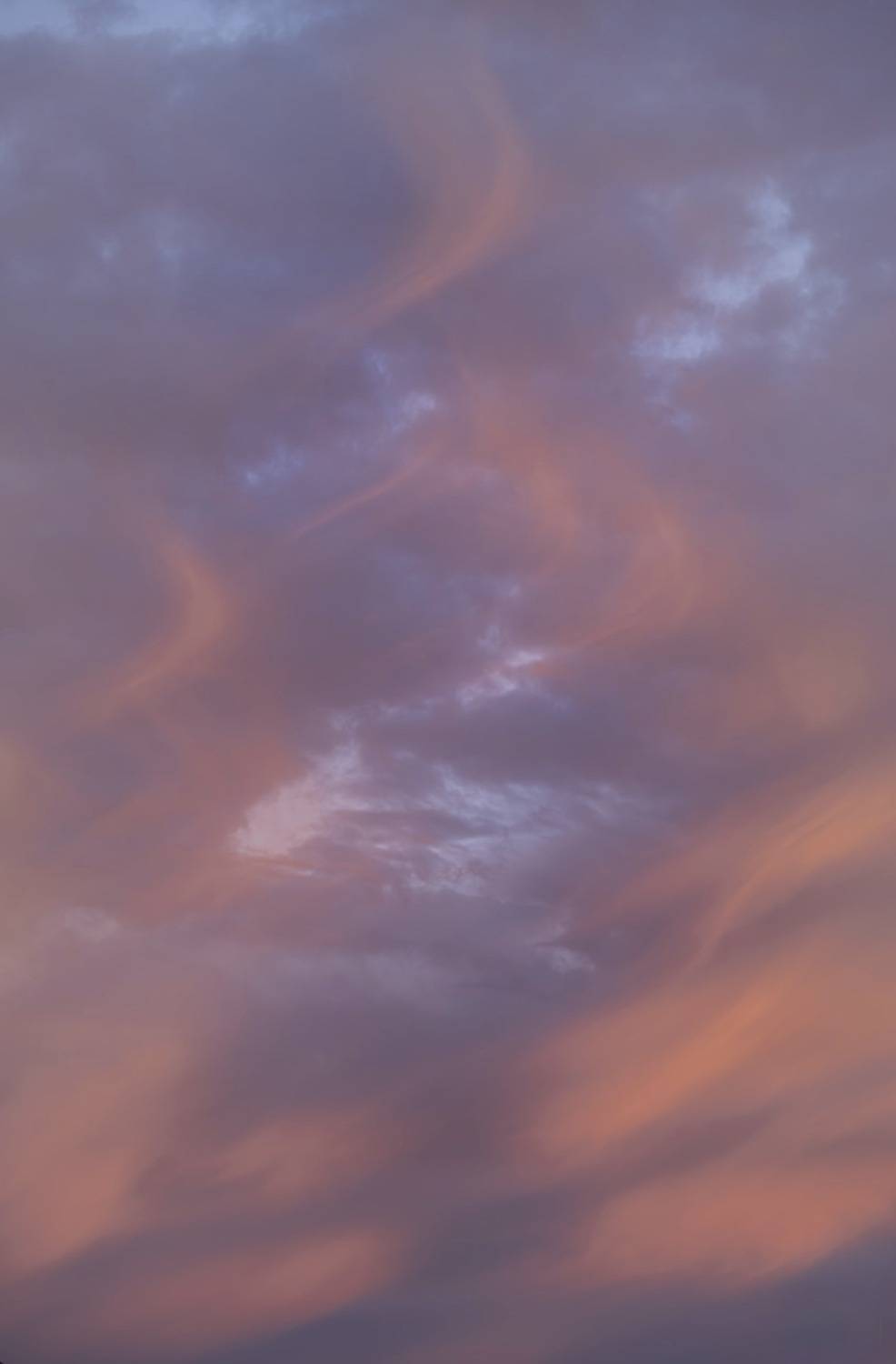 Photo #13759135