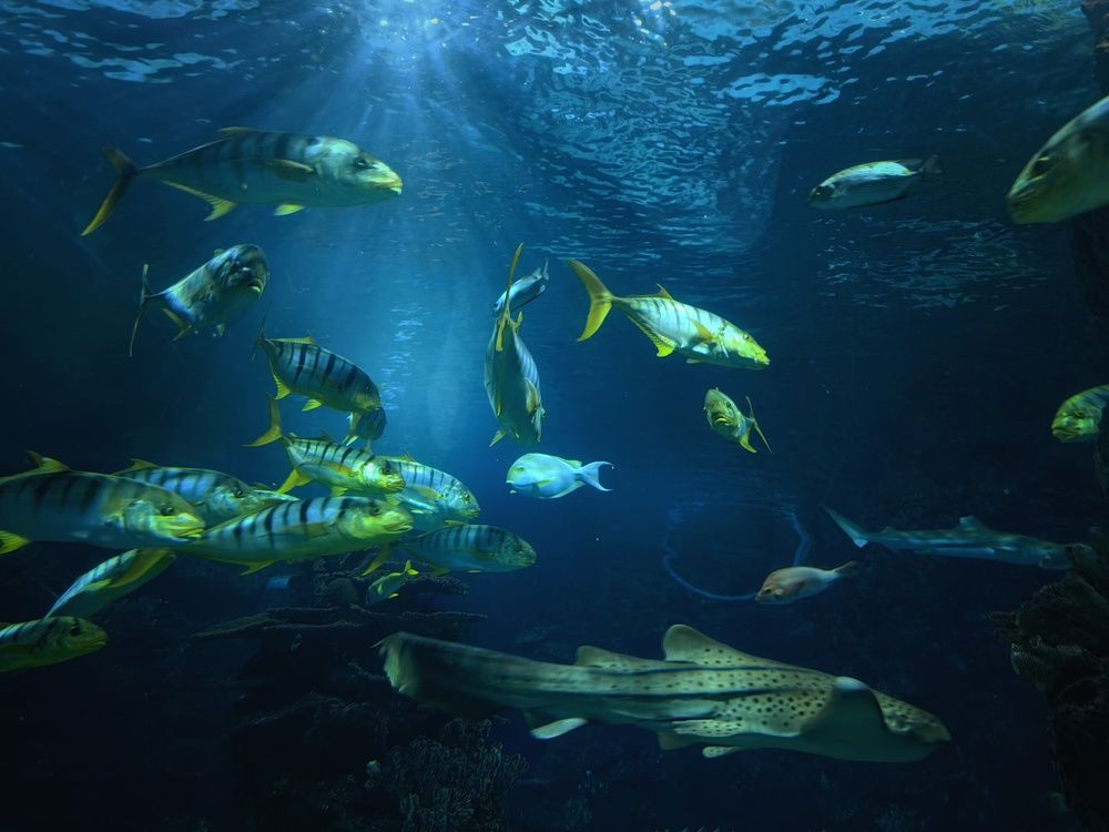 Photograph by Сергей Зайцев