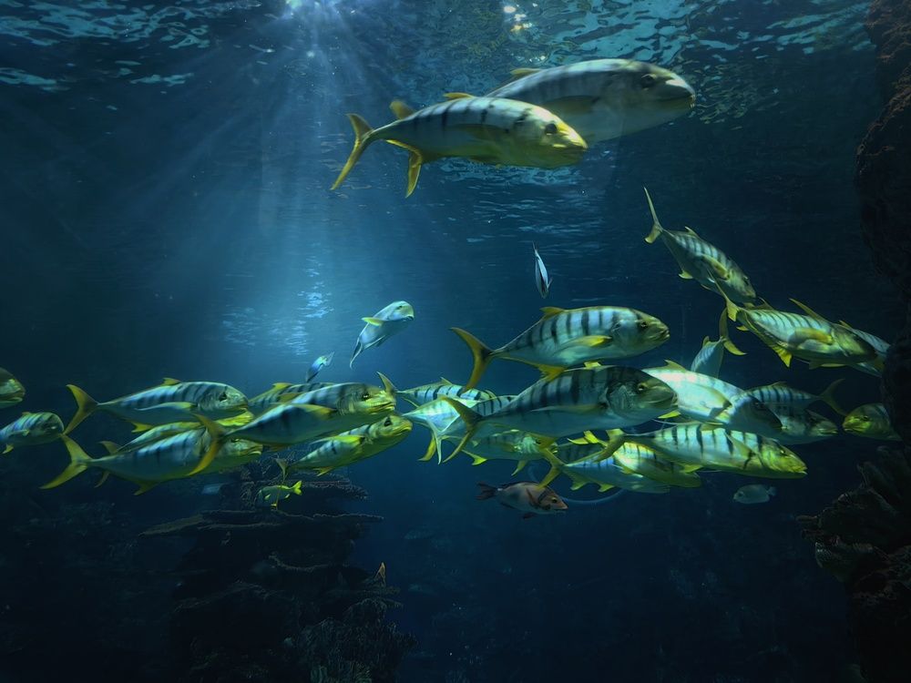 Photograph by Сергей Зайцев