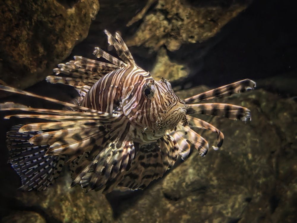 Photograph by Сергей Зайцев