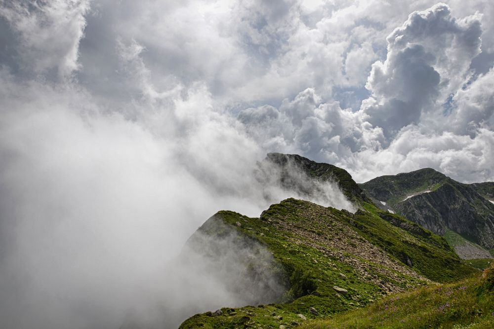 Photograph by Mikhail Kolesnik