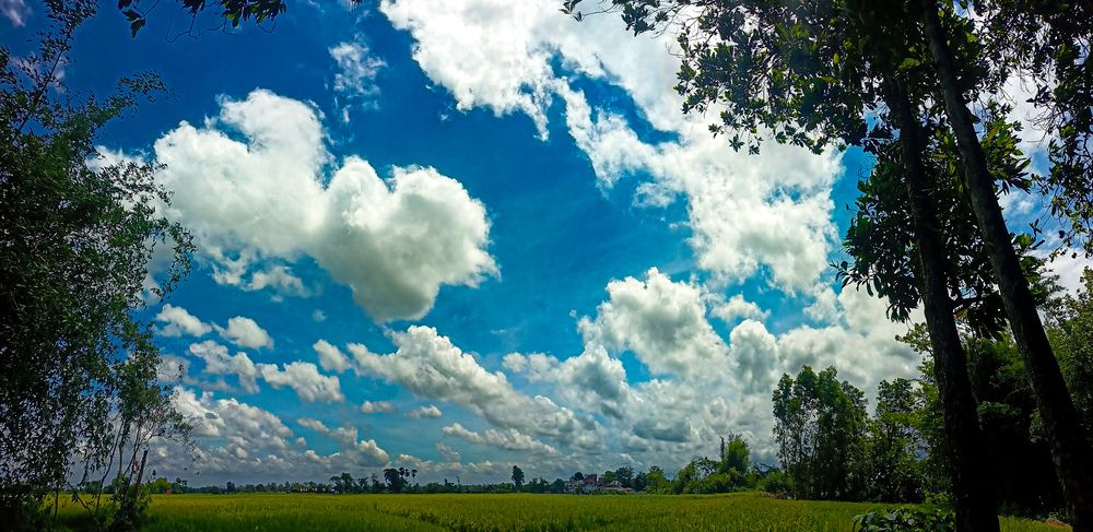 Фотография автора Souvik Bhattacharyya