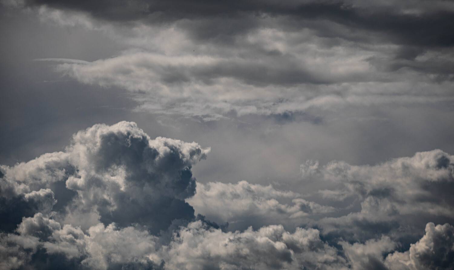 Photo #13759258
