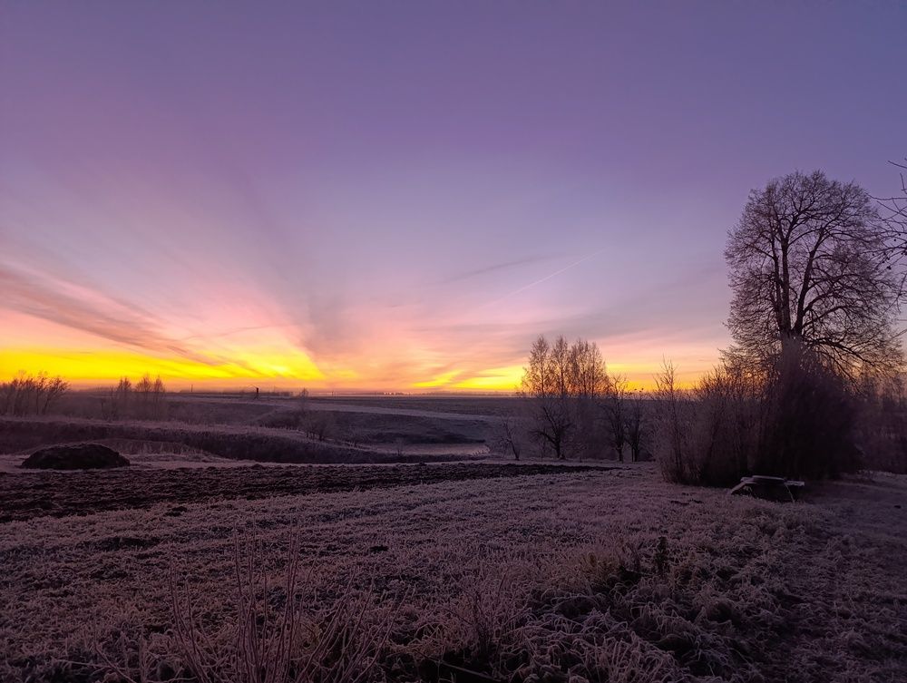 Photo #13759304