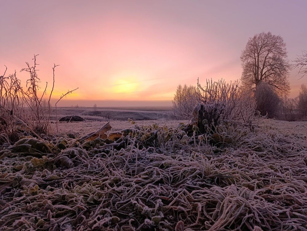 Photograph by Юрий Гордеев