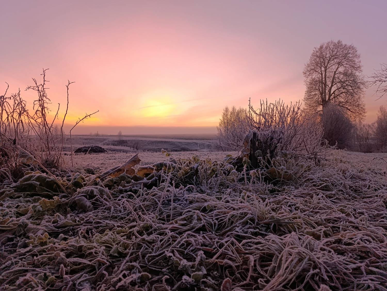 Photo #13759311