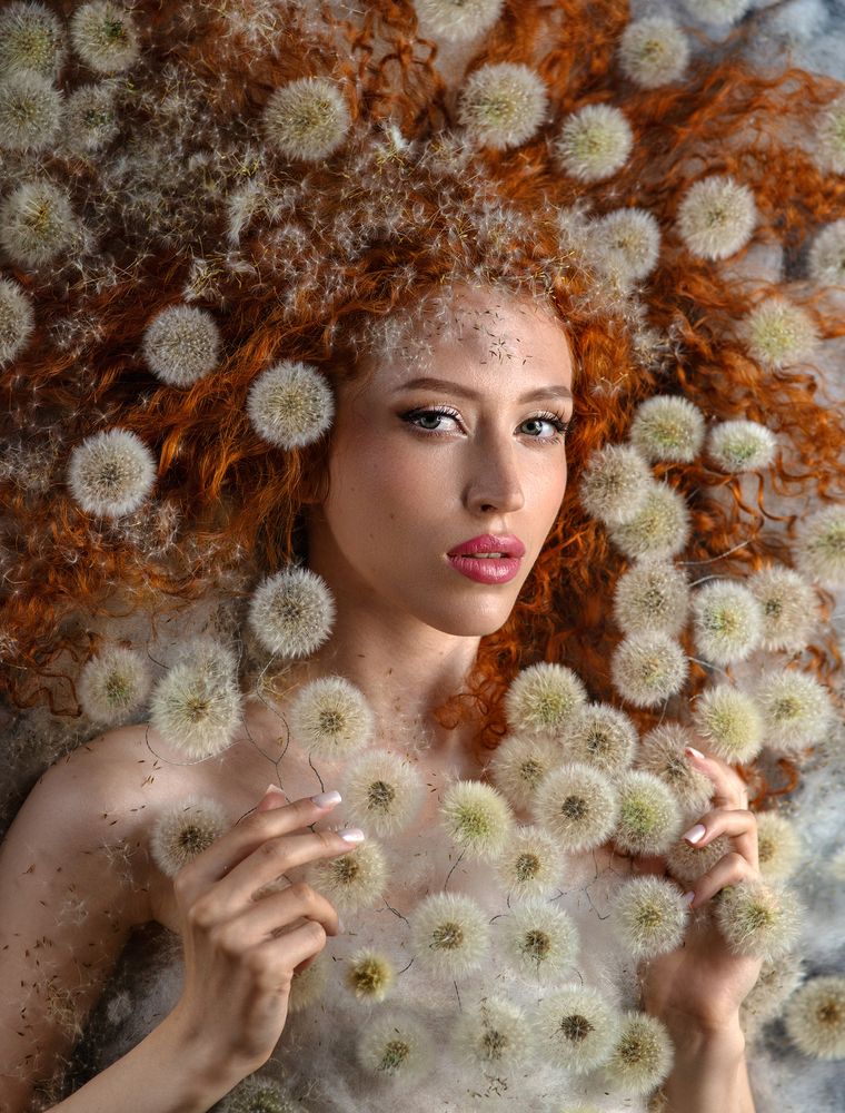 Born from Dandelions