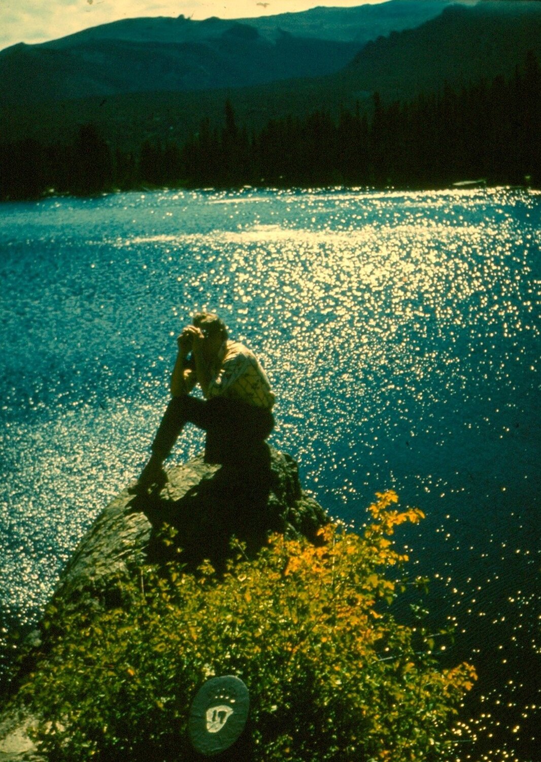 Photo #13759412