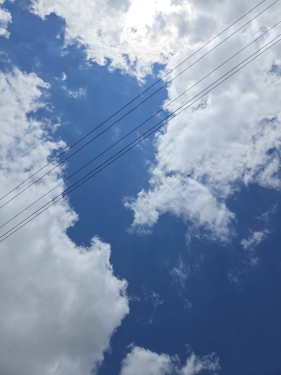 Photo #13759420