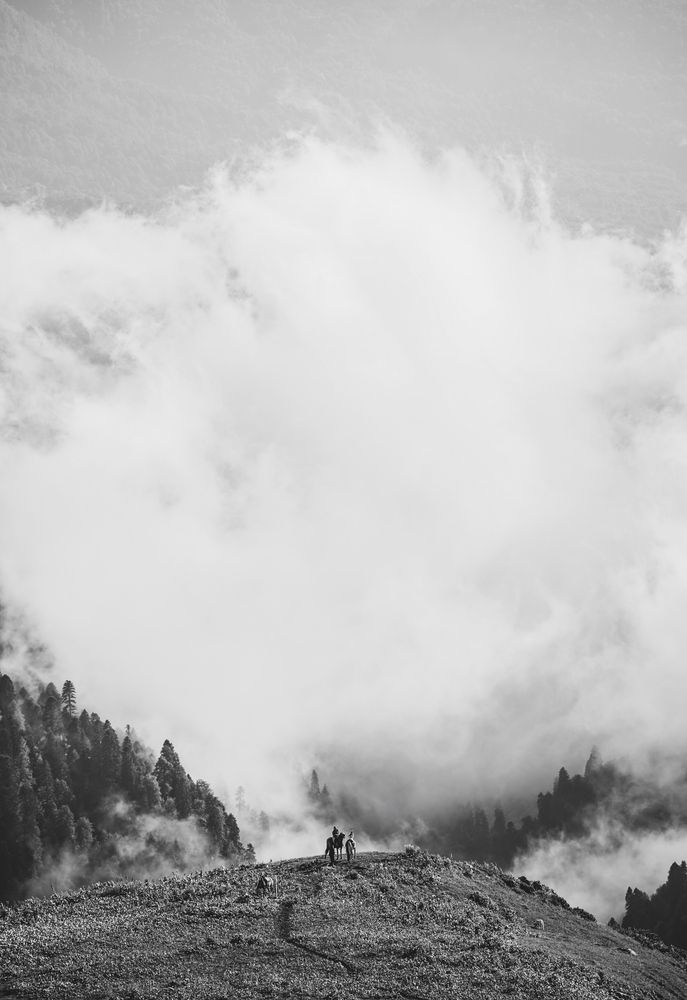 Photo #13759437