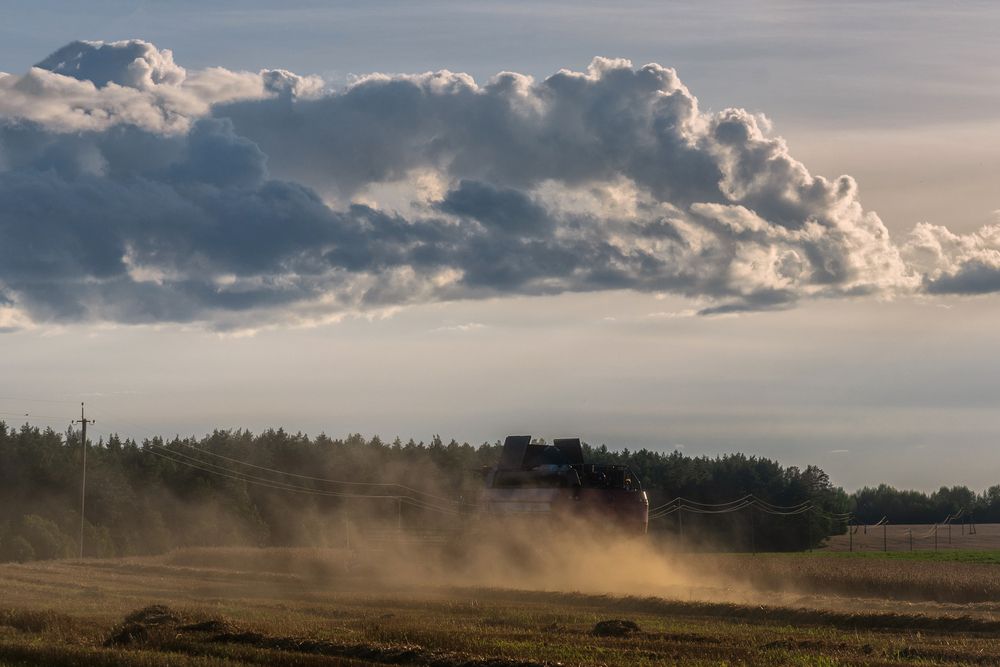 Photograph by Александр Панченко