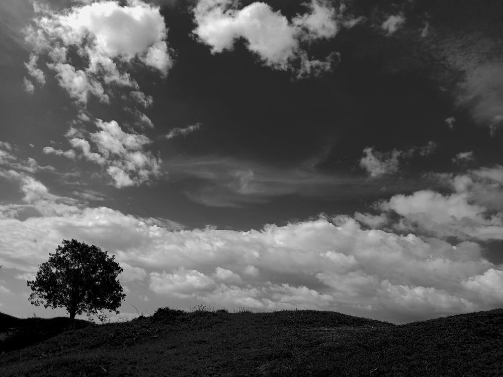 Photograph by DEBASISH SEN