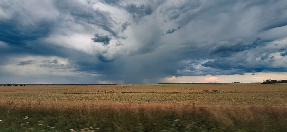 Photograph by Дина Темницкая