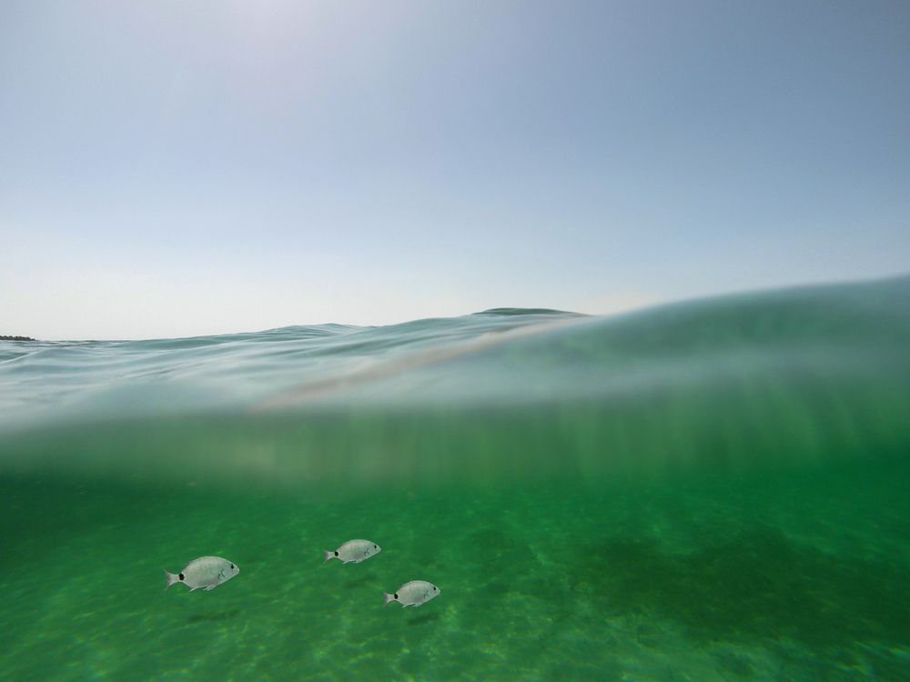 Photograph by Steven Fossiant