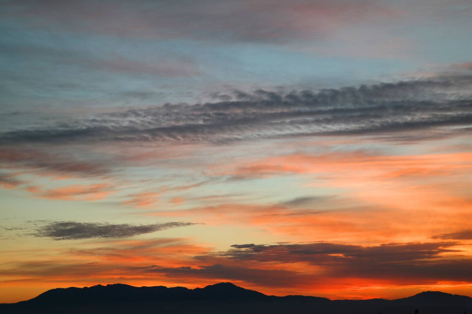 Photo #13759643
