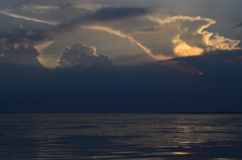 Photograph by Md. Tariq Been Habib