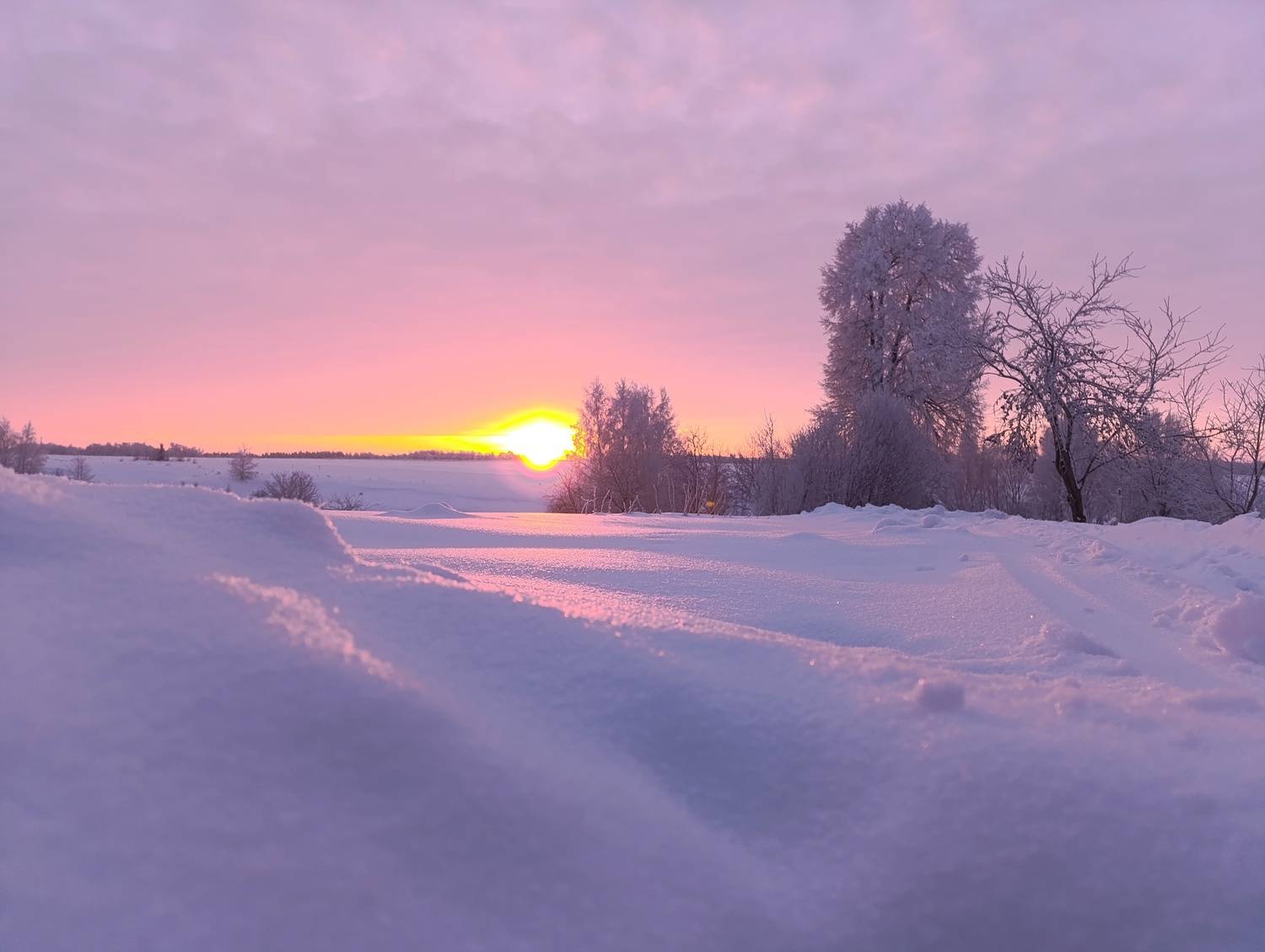 Photo #13759844