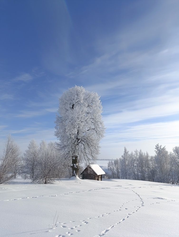 Photograph by Юрий Гордеев