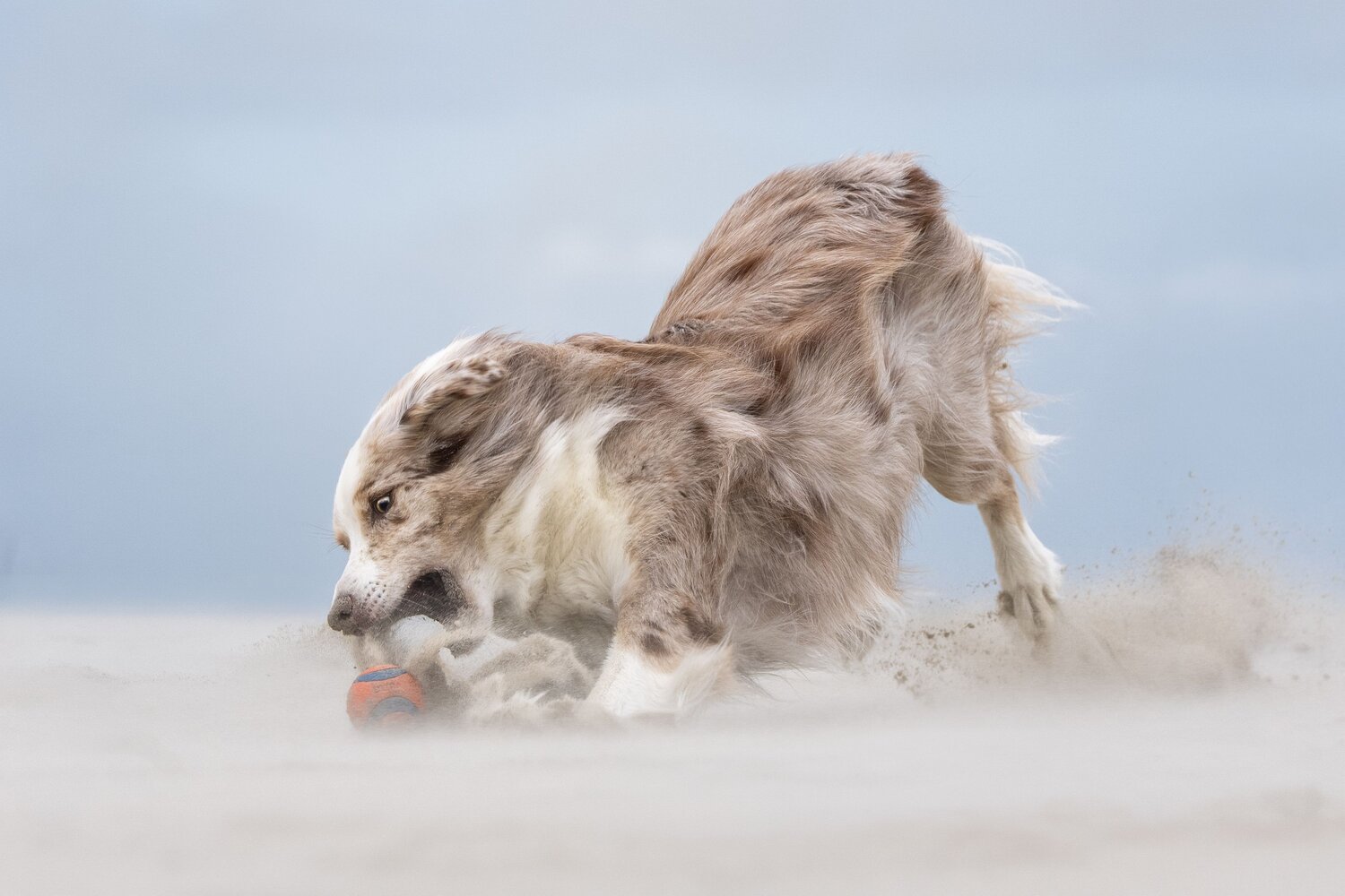 Relentless Focus