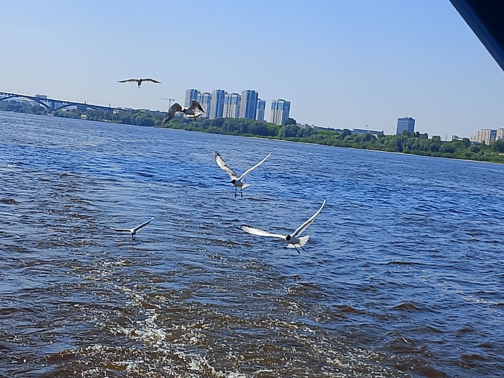 Photo #13760179