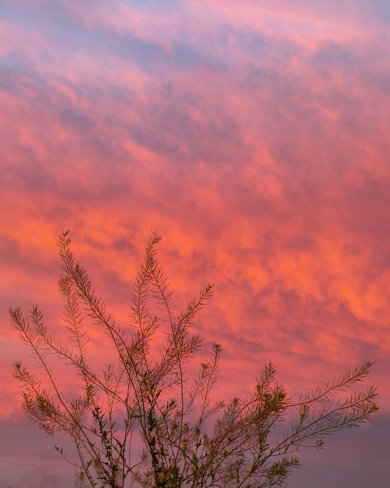 Photograph by Владимир Ли