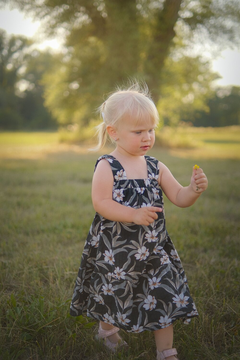 Photo #13760325