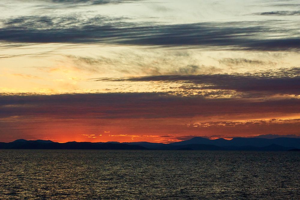 Photograph by Лариса Н