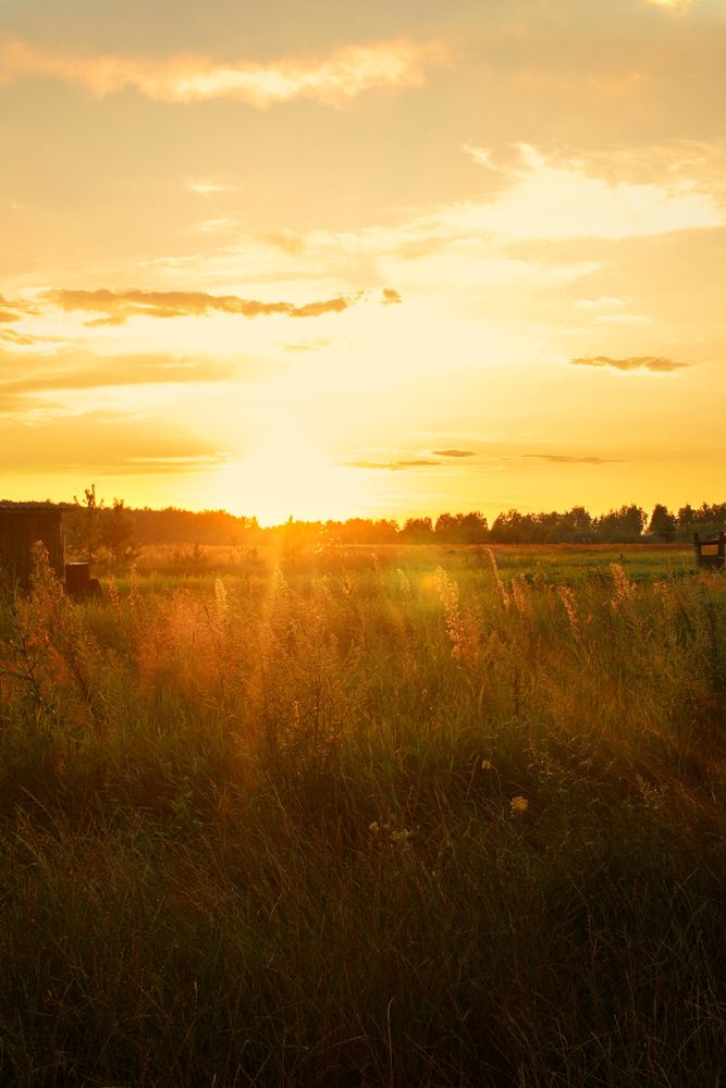 Photograph by Эмма Астапова
