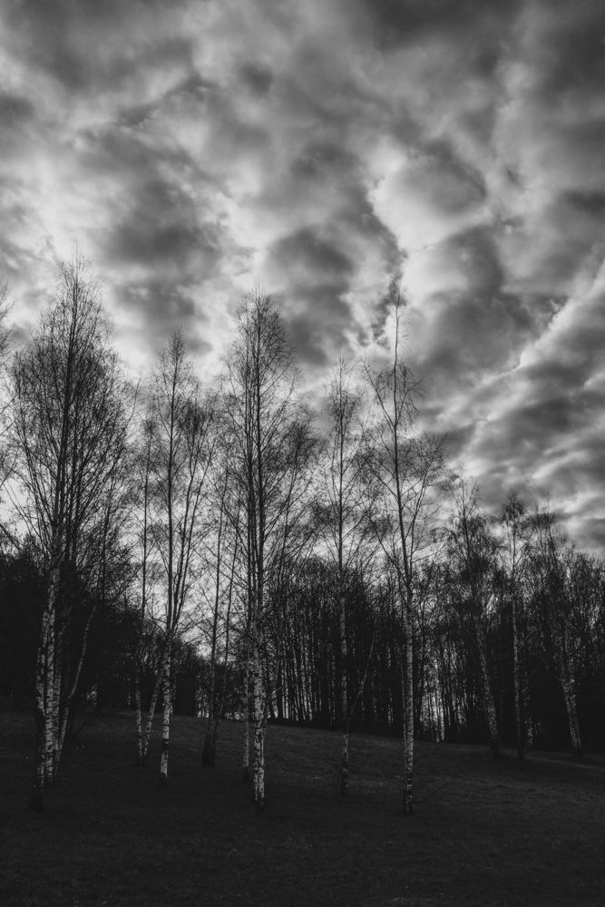 Фотография автора Антон Третьяков
