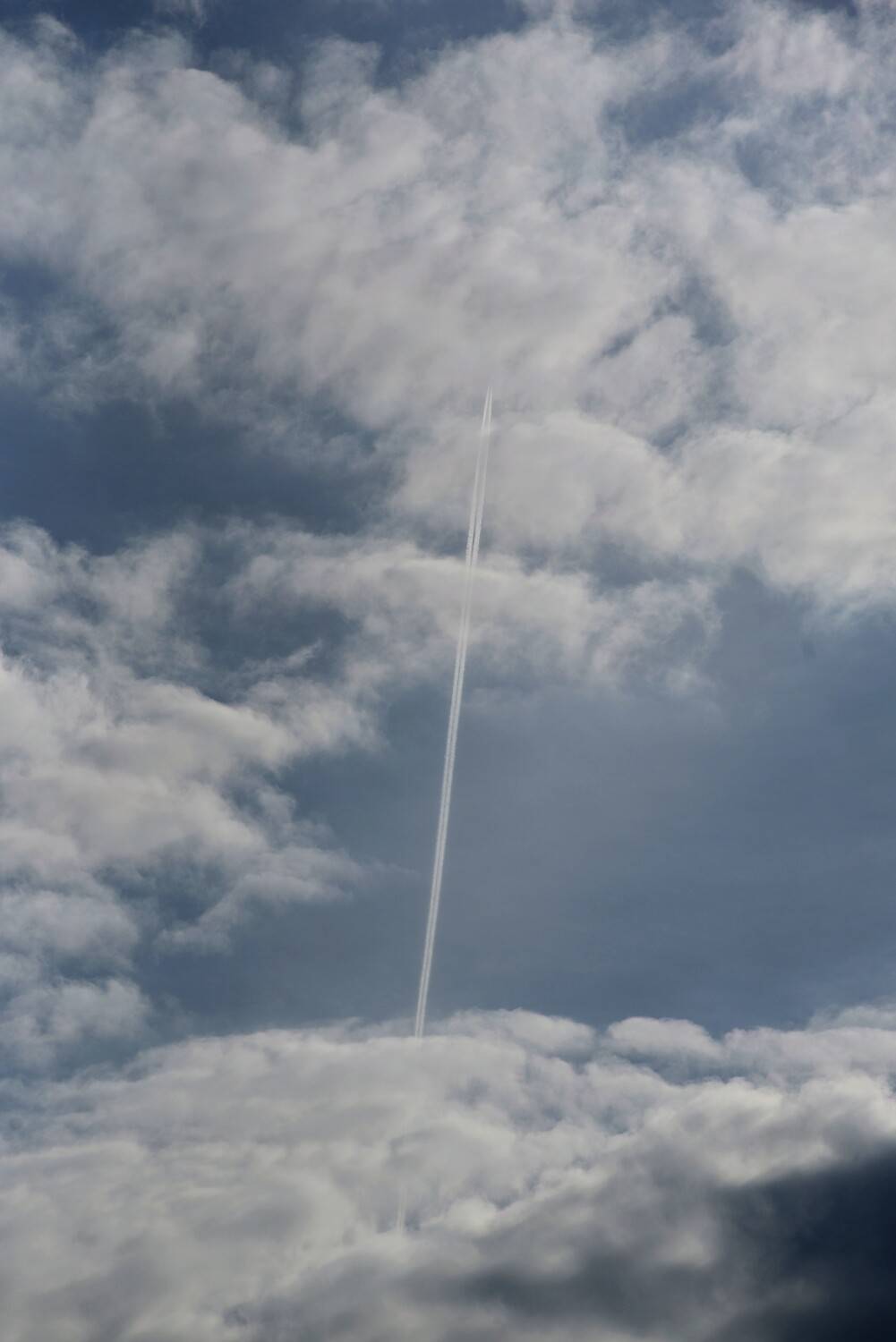 Photo #13760533