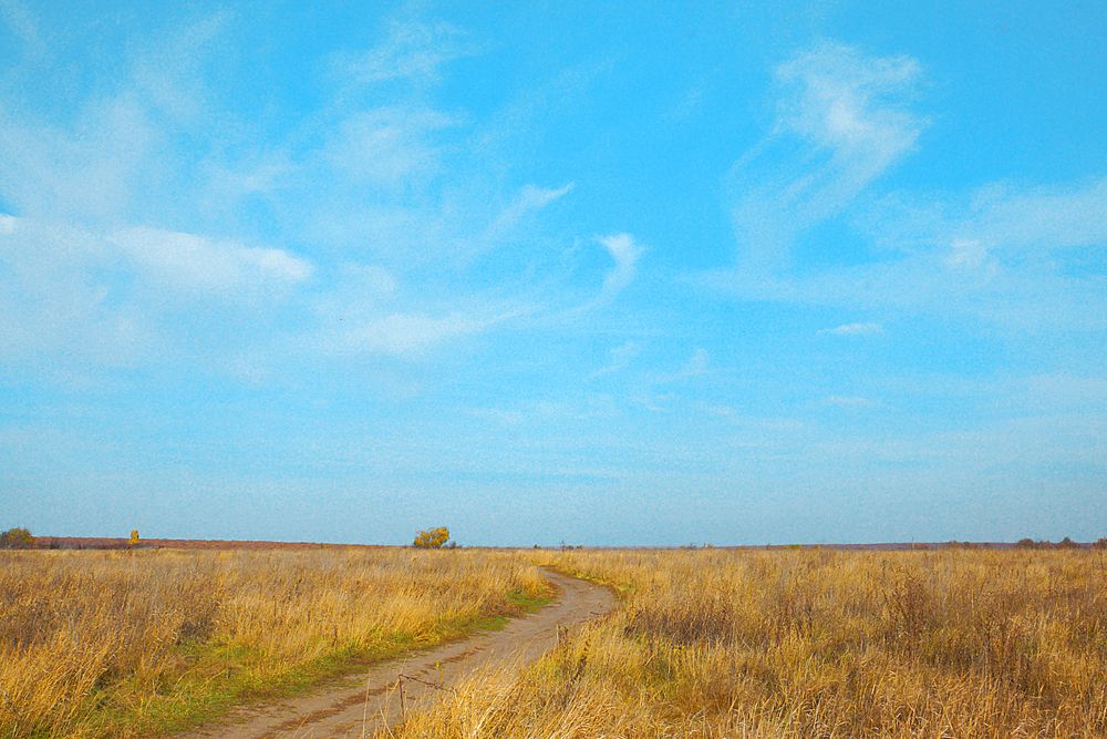 Photograph by Олег Толстунов