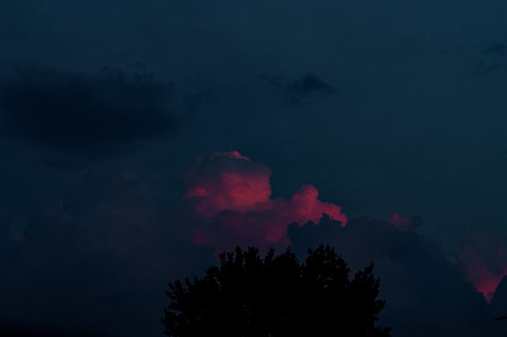 Photograph by Ирина Филиппова