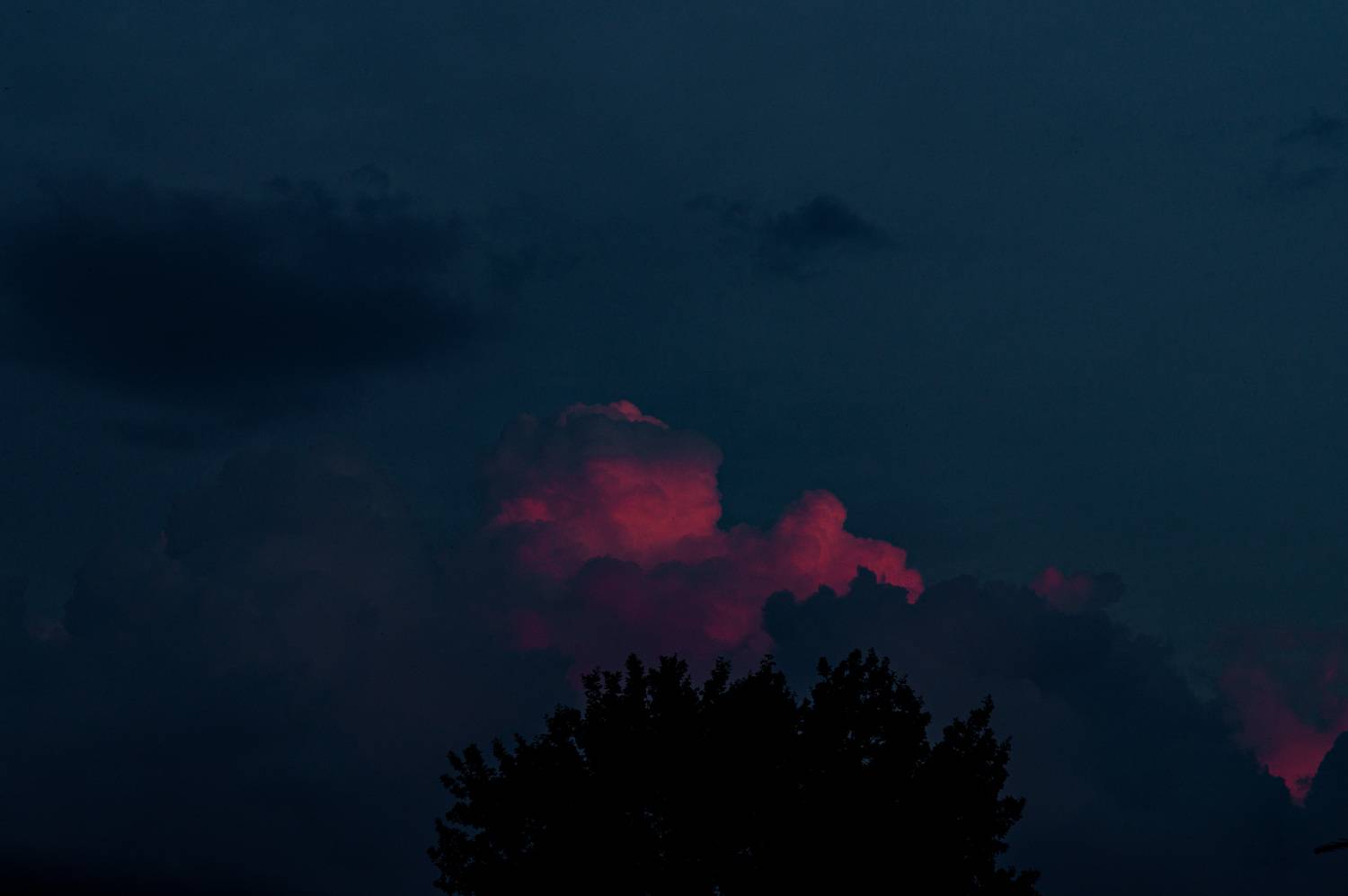Photo #13760661