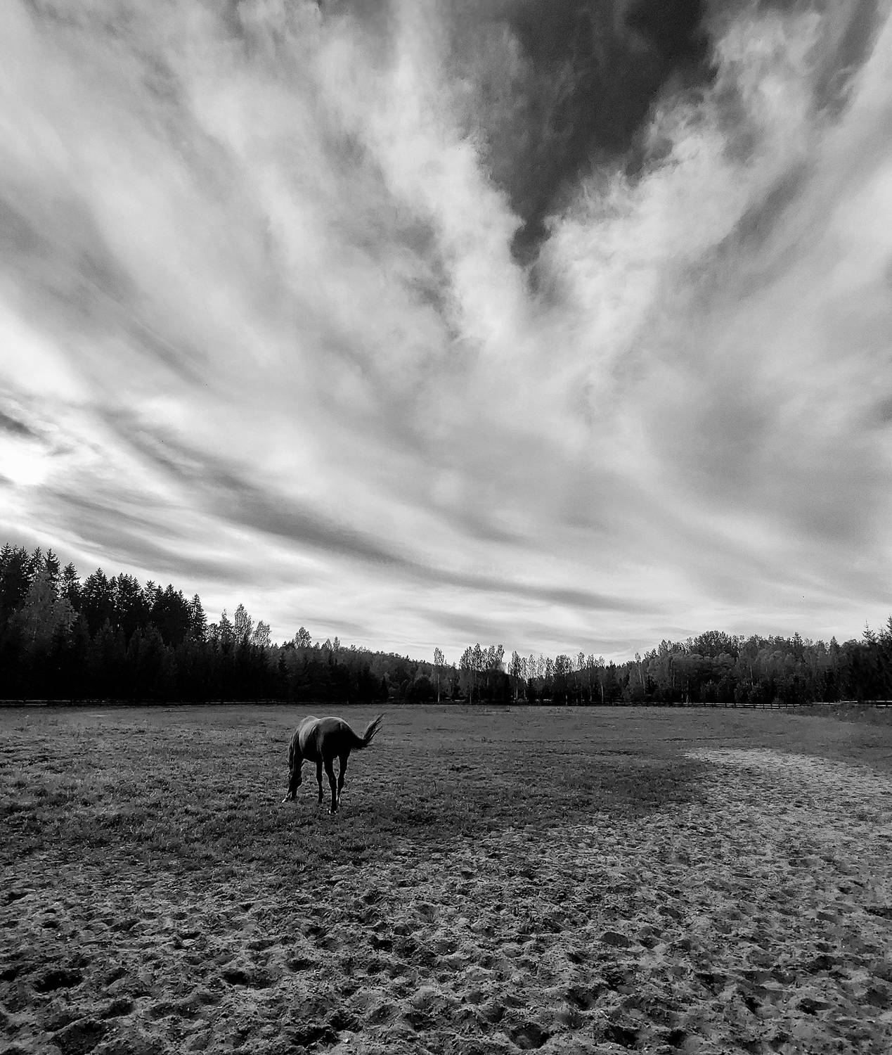 Photo #13760754